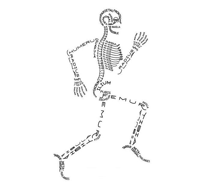 Skelet Menselijk lichaam WordFit.be online coaching