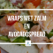 Recept wraps met zalm en avocadospread