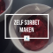 Zelf sorbet maken WordFit.be