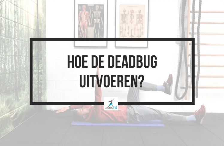 Deadbug hoe uitvoeren? WordFit.be Je lichaam thuis verstevigen