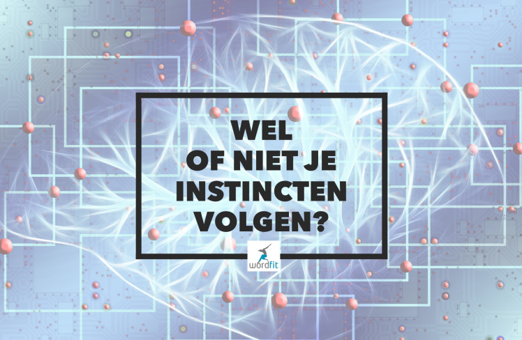 Wel of niet je instincten volgen? WordFit Persoonlijk leiderschap coaching voor ondernermers