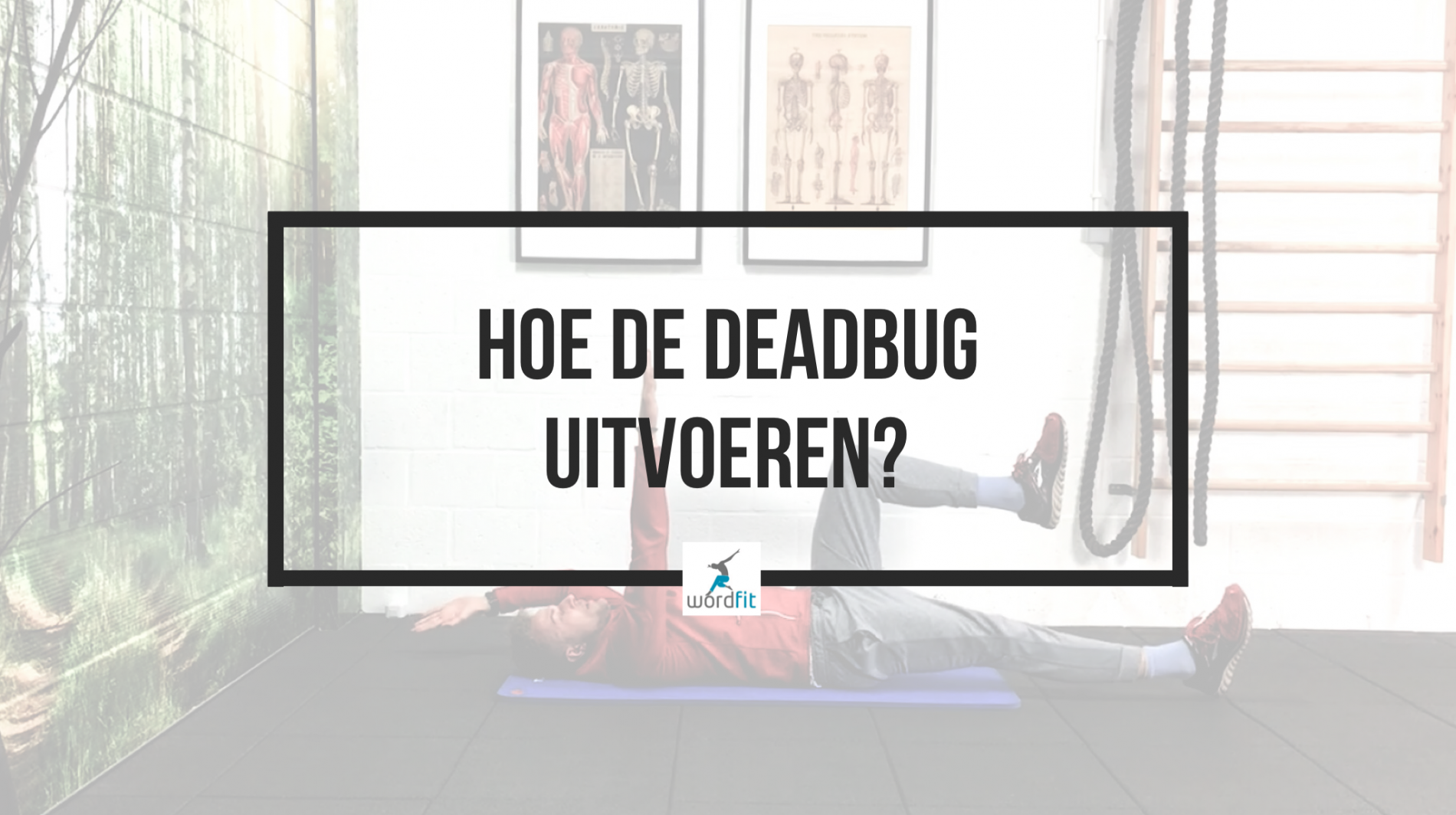 Hoe deadbug uitvoeren? WordFit.be Thuis lichaam verstevigen Hoe deadbug uitvoeren? WordFit.be Thuis lichaam verstevigen