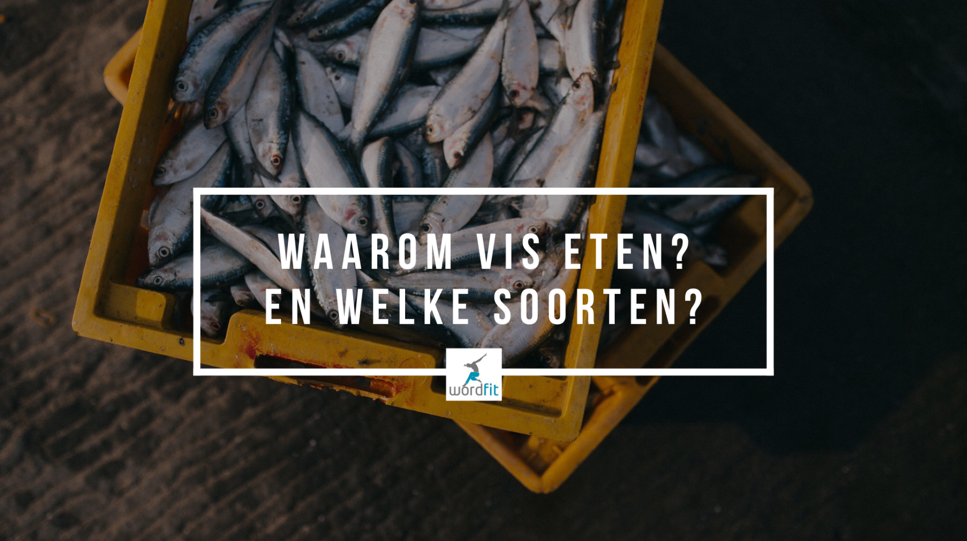 Waarom vis eten? WordFit Lifecoaching Waarom vis eten? WordFit Lifecoaching